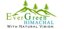 Evergreen Himachal Tour Travel