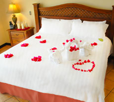 Shimla Kullu Manali Honeymoon Tour Travel Packages